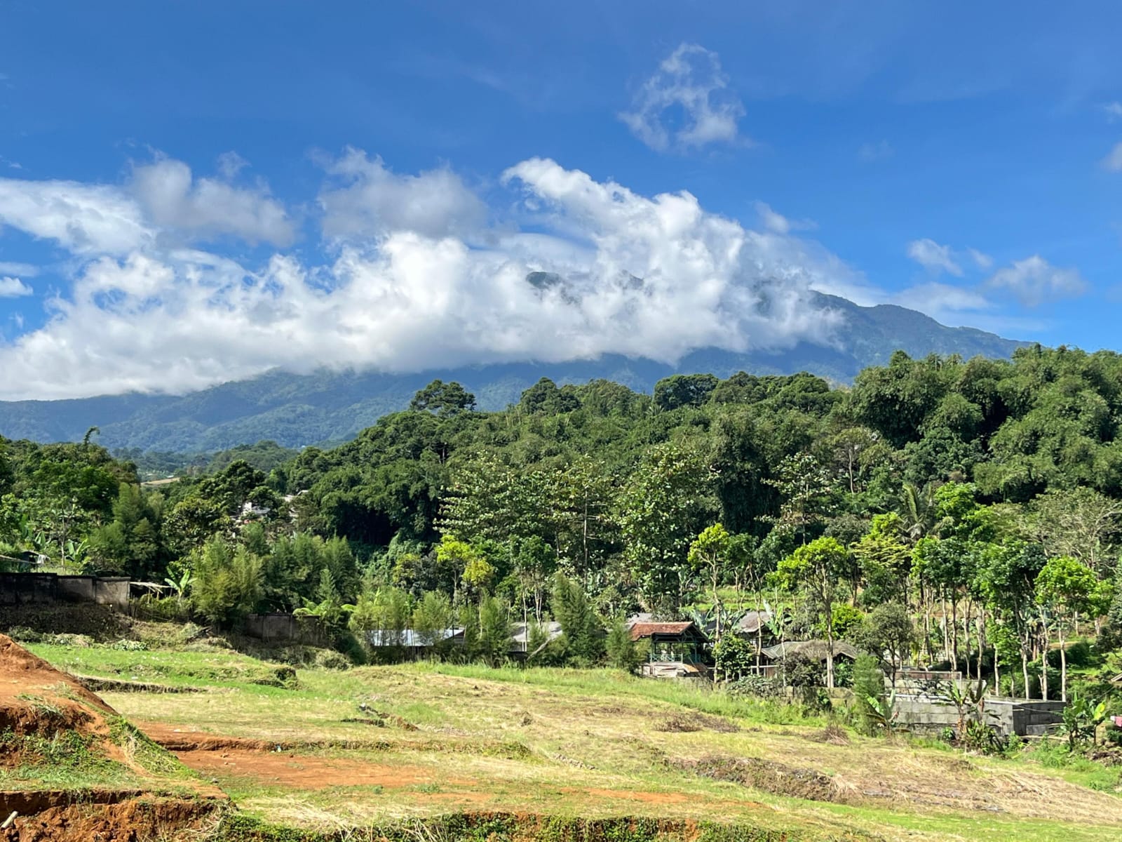 PEMANDANGAN ALAM TANAH CITEKO GARDEN VIEW PUNCAK DEKAT TAMAN SAFARI
